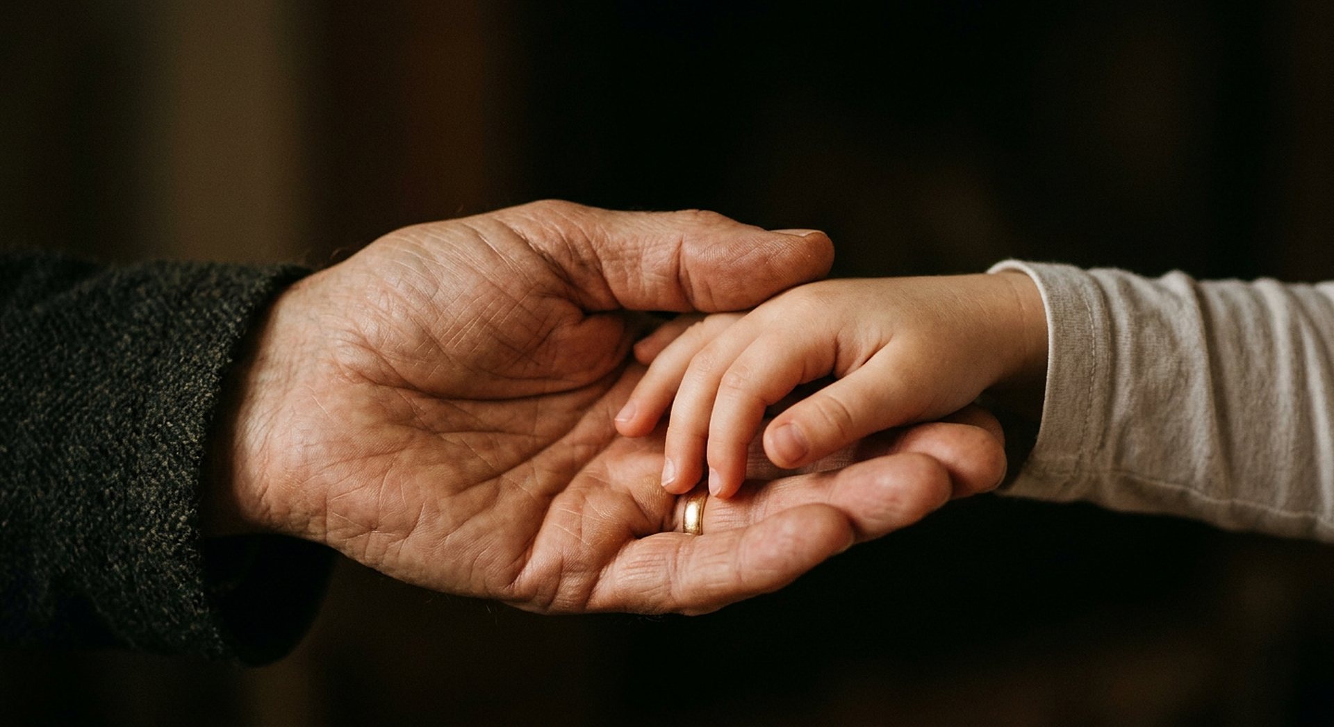 Mains d'un adulte et d'un enfant qui se rejoignent, lumière chaude, aucun visage identifiable